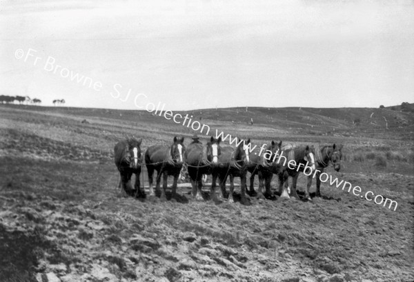 PLOUGHING WITH 7 HORSE POWER